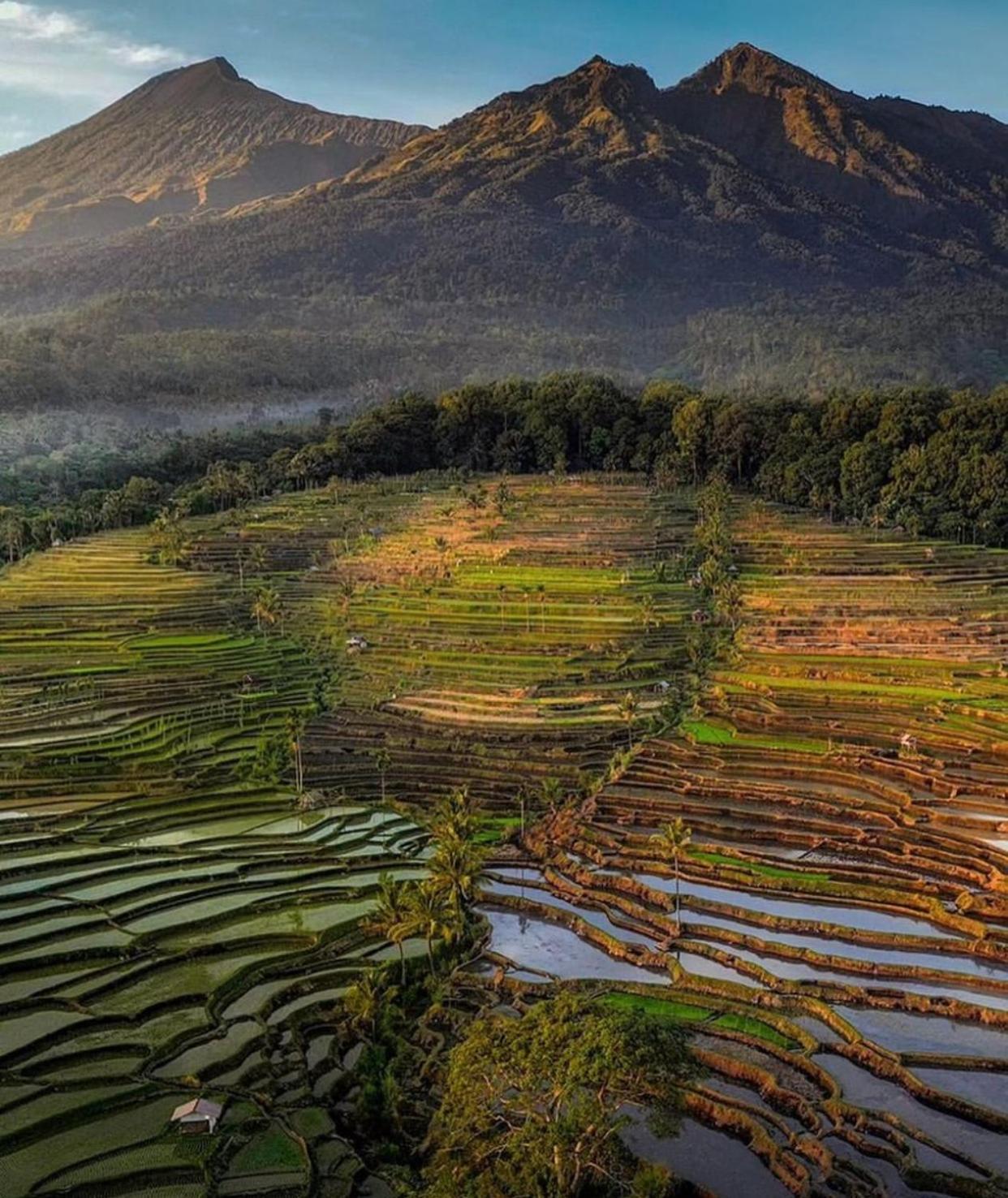 Pondok Senaru Cottages Luaran gambar