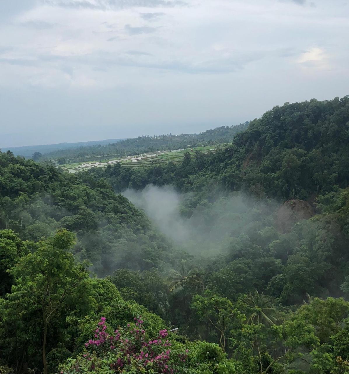 Pondok Senaru Cottages Luaran gambar